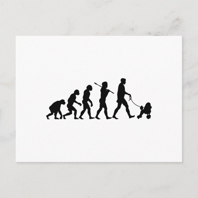 Poodle Postcard (Front)