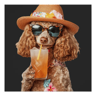 Poodle Poster