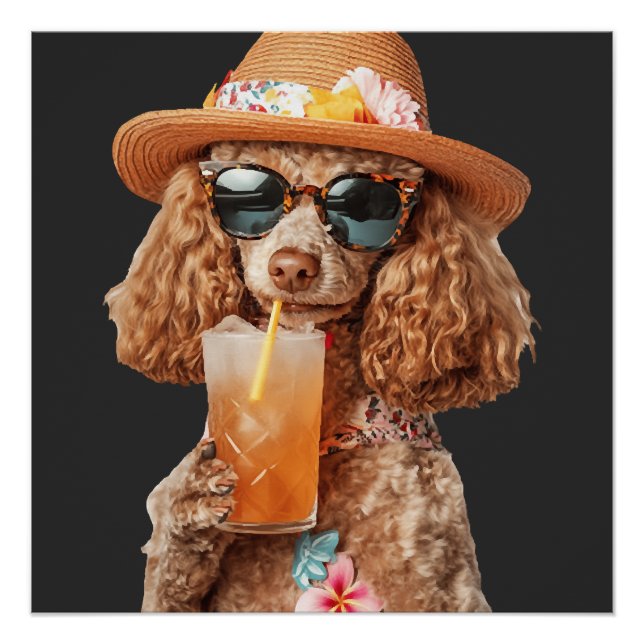 Poodle Poster (Front)