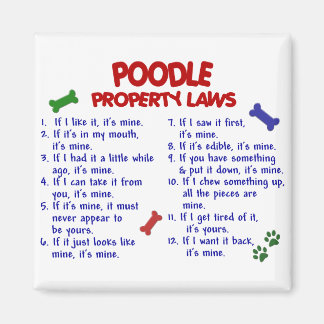POODLE Property Laws 2 Magnet