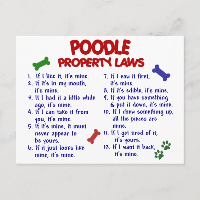 POODLE Property Laws 2 Postcard (Front)
