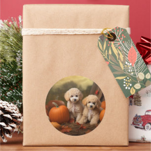 Poodle Puppy Autumn Delight Pumpkin Classic Round Sticker