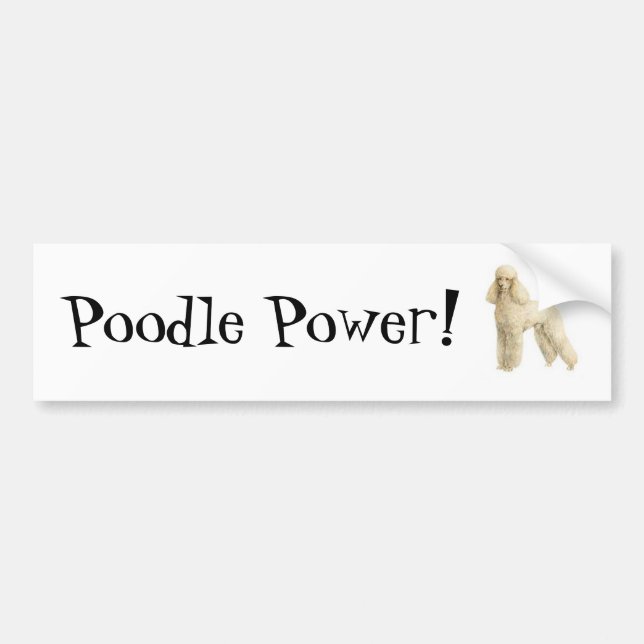 Poodle -- Puppy Clip Bumper Sticker (Front)