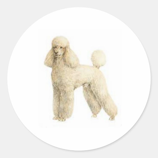 Poodle -- Puppy Clip Classic Round Sticker (Front)
