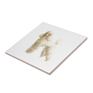 Poodle -- Puppy Clip Tile