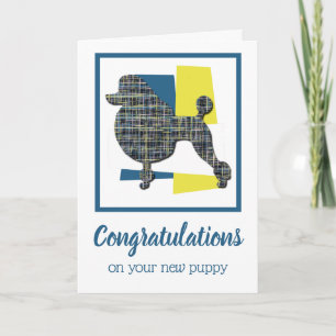Poodle Puppy Dog Congratulations Greeting Card