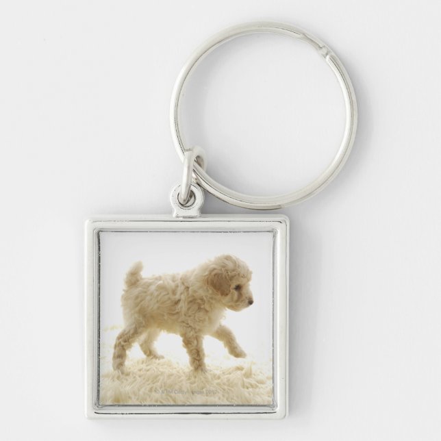 Poodle Puppy Key Ring (Front)