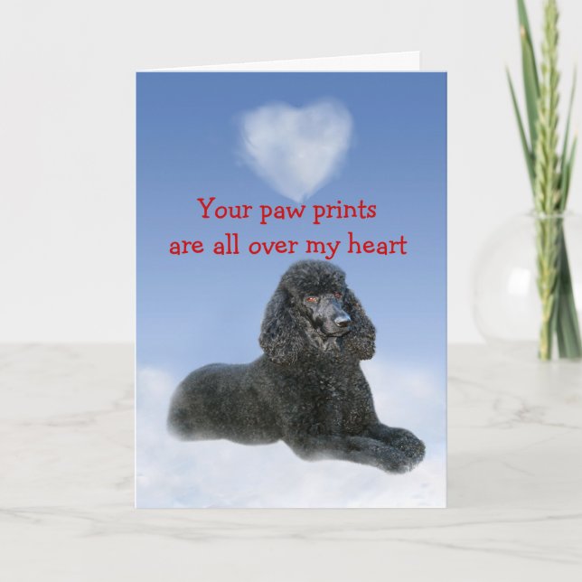 Poodle Puppy Love Card (Front)