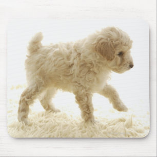 Poodle Puppy Mouse Mat