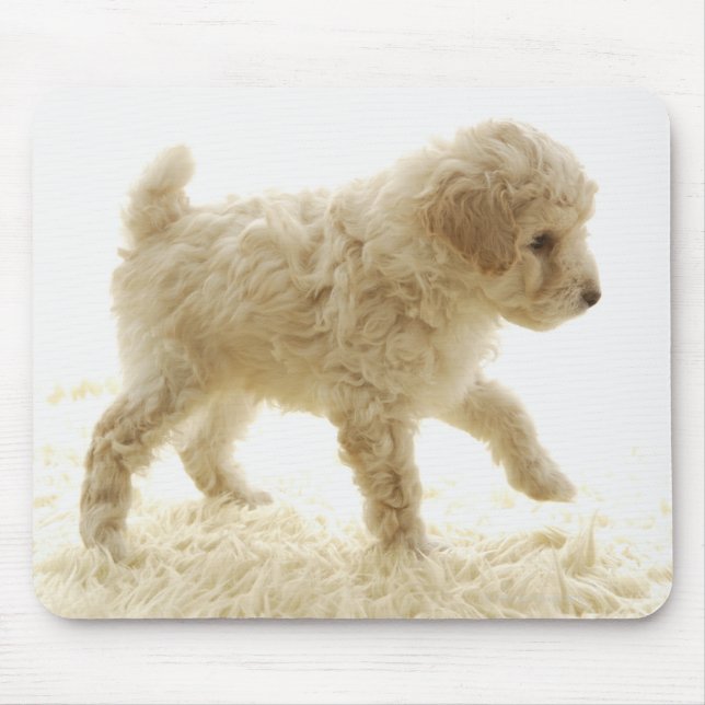 Poodle Puppy Mouse Mat (Front)
