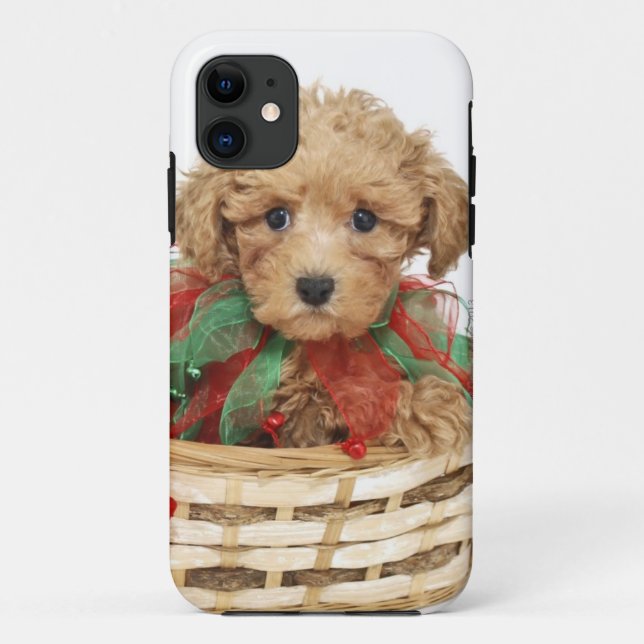 Poodle puppy sitting in Christmas basket Case-Mate iPhone Case (Back)