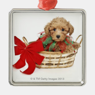 Poodle puppy sitting in Christmas basket Metal Tree Decoration