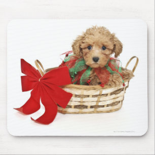 Poodle puppy sitting in Christmas basket Mouse Mat