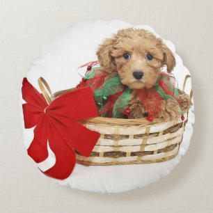 Poodle puppy sitting in Christmas basket Round Cushion