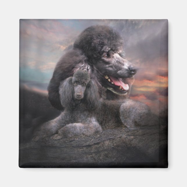 Poodle Rock Magnet (Front)