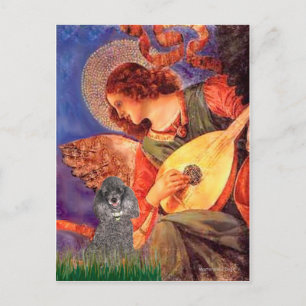 Poodle(S) - Mandolin Angel Postcard