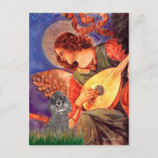 Poodle(S) - Mandolin Angel Postcard
