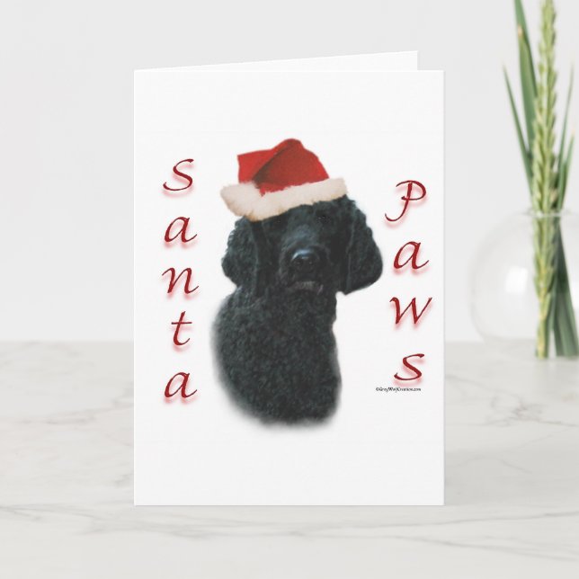 Poodle Santa Paws Holiday Card (Front)