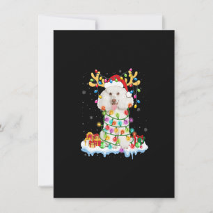 Poodle Santa Reindeer Christmas Shirt Funny Dog Xm Invitation
