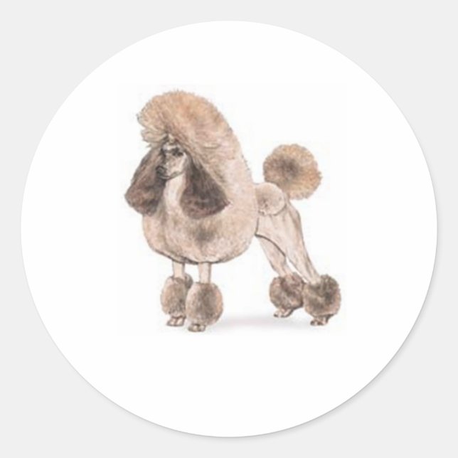 Poodle -- Show Coat Classic Round Sticker (Front)