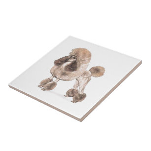 Poodle -- Show Coat Tile