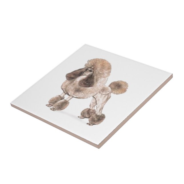 Poodle -- Show Coat Tile (Side)