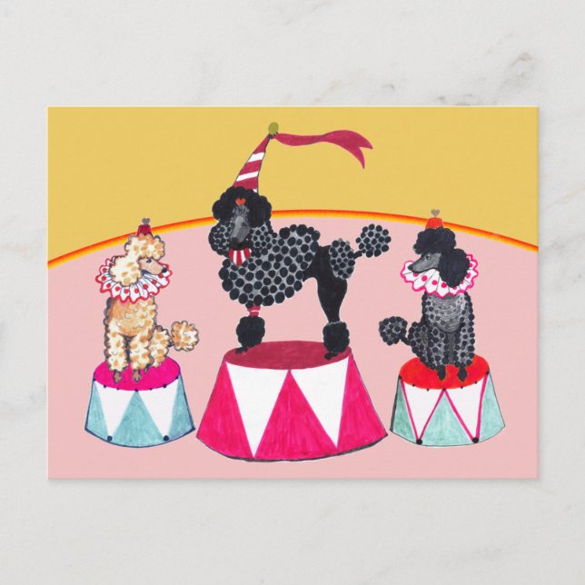 Poodle Sisters Circus Act Postcard (Front)