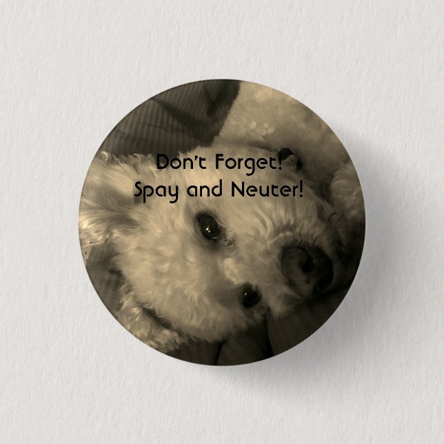 Poodle Spay and Neuter Promo Button (Front)