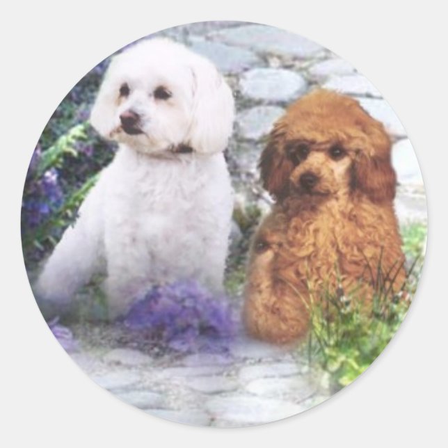 Poodle Sticker Hydrangeas (Front)