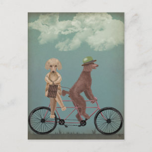 Poodle Tandem Postcard