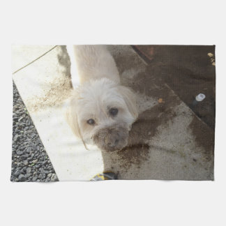 Poodle-Terrier mix with dirty face Tea Towel