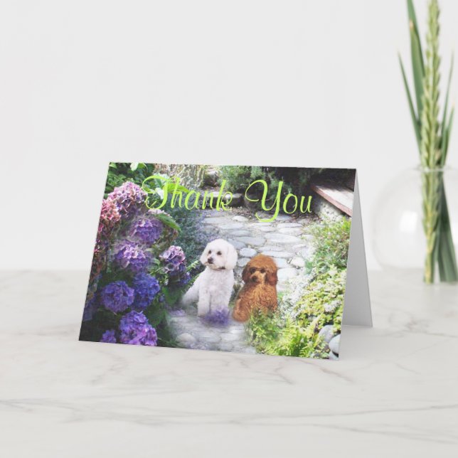 Poodle Thank You Card Hydrangeas (Front)