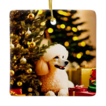 Poodle Under Christmas Tree