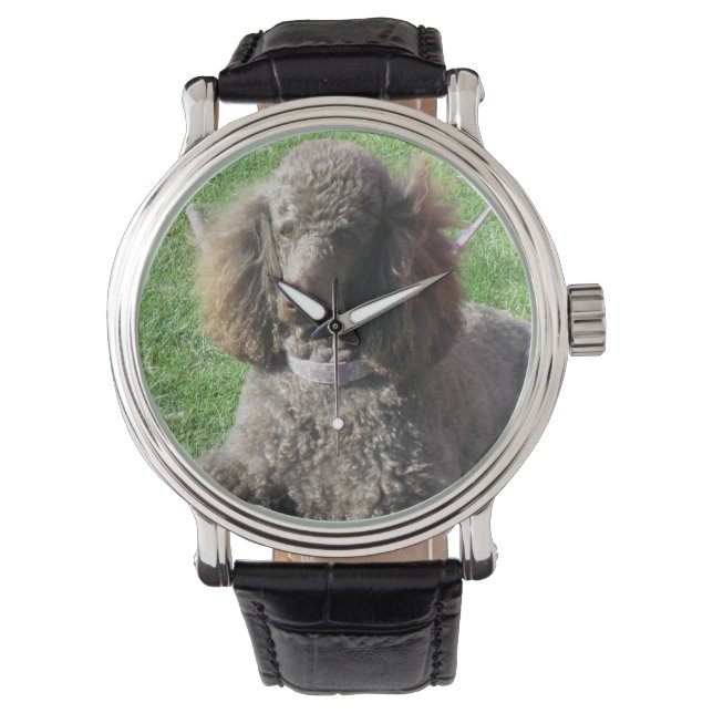 Poodle Watch (Front)