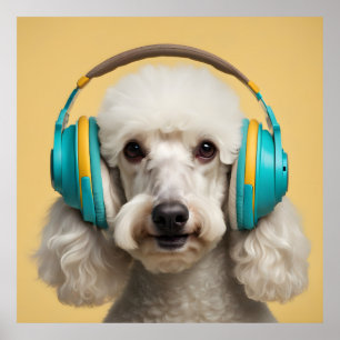 Poodle wearing headphones poster