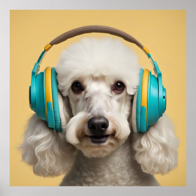 Poodle wearing headphones poster (Front)