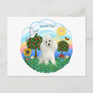 Poodle (white #14) postcard