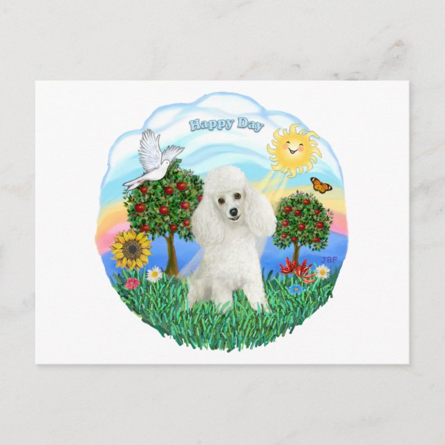 Poodle (white #14) postcard (Front)