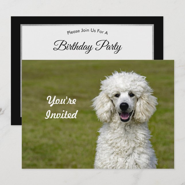 Poodle White Dog Photo Birthday Invitation (Front/Back)