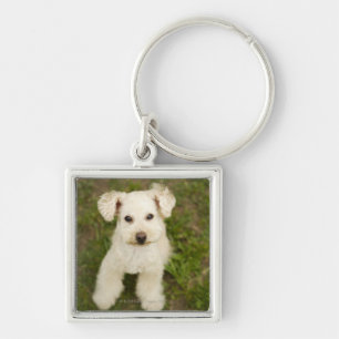 Poodle (white) key ring