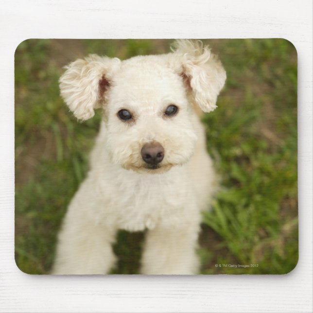 Poodle (white) mouse mat (Front)