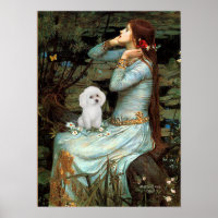 Poodle (White Toy) - Ophelia Seated