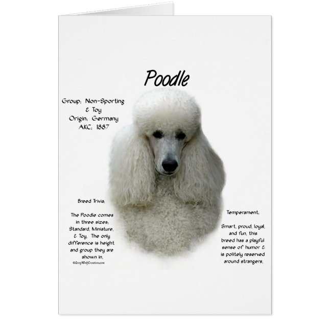 Poodle (wht) History Design (Front)