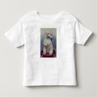 Poodle with blue ribbon