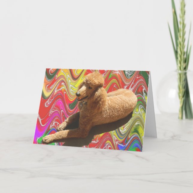 POODLE WITH CHRISTMAS CANDY COLORS. HOLIDAY CARD (Front)