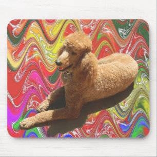 POODLE WITH CHRISTMAS CANDY COLORS. MOUSE MAT