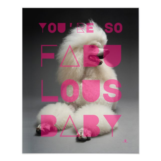 Poodle - You're So Fabulous Baby -  Photo Print (Front)