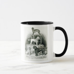 Poodles and Whippet - Group of Mr. Walton's Mug