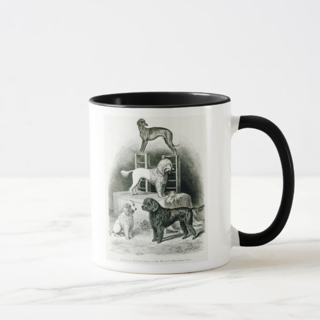 Poodles and Whippet - Group of Mr. Walton's Mug (Right)