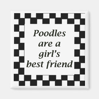 Poodles are a girl's best friend magnet